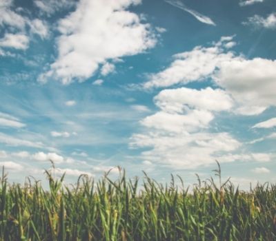 Monitoraggio della qualità dell'aria